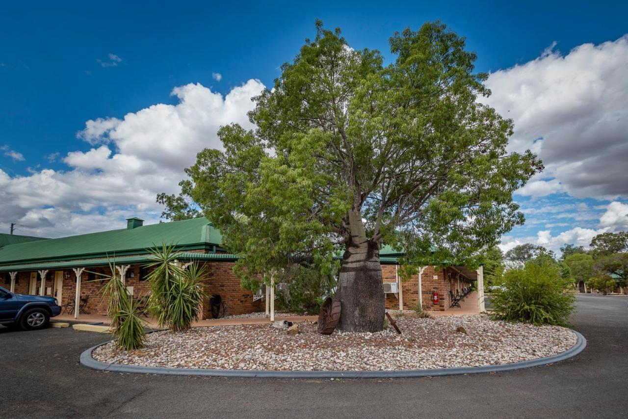 Overlander Homestead Motel ローマ エクステリア 写真